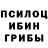 Галлюциногенные грибы мухоморы John Phips