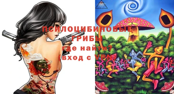mdpv Бородино