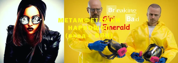 mdpv Бородино
