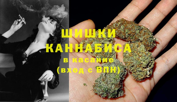 хмурый Бронницы