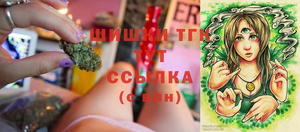 хмурый Бронницы