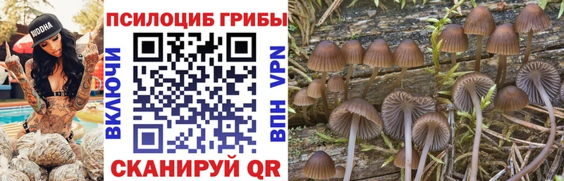 МЕГА Медногорск Псилоцибиновые грибы MAGIC MUSHROOMS